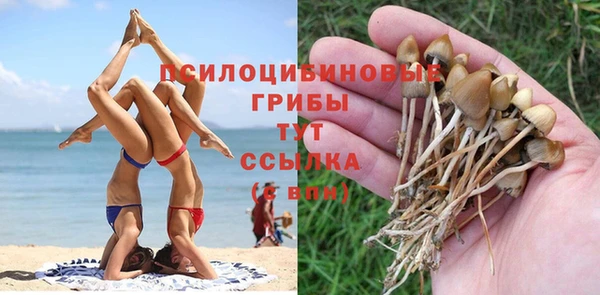 каннабис Верея