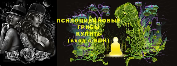 МДПВ Богородск